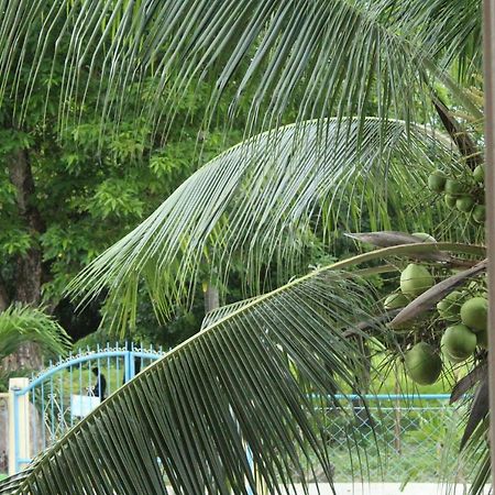 Maya Guest House - Sipaway Island San Carlos  Exterior foto